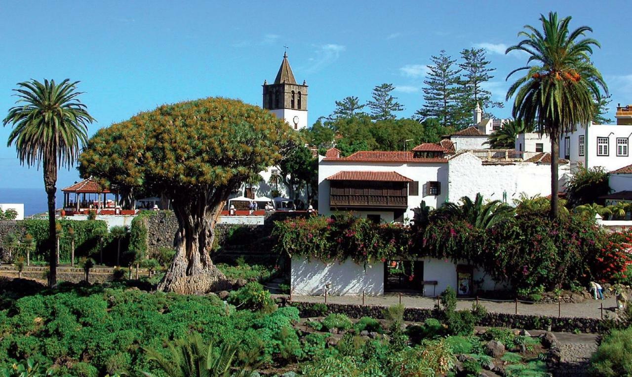 Apartamento Monis Natura Icod De Los Vinos Buitenkant foto