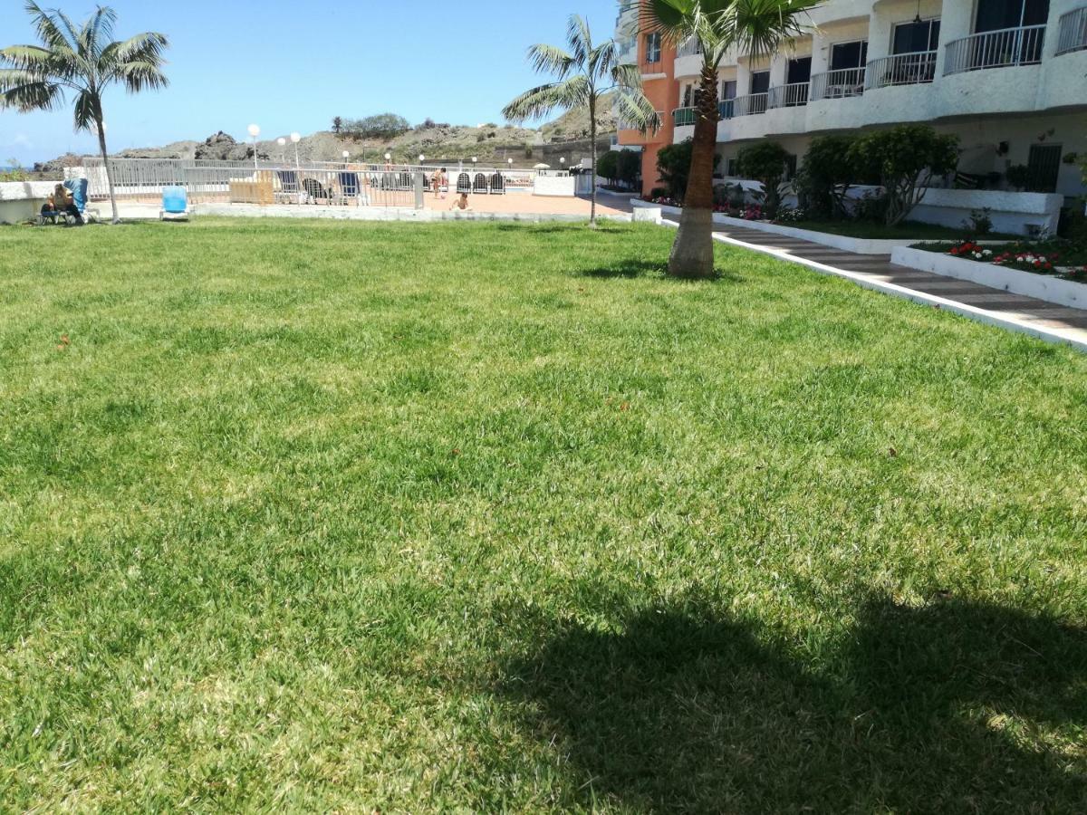 Apartamento Monis Natura Icod De Los Vinos Buitenkant foto